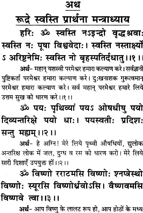 Saral Rudrashtadhyayi (Bhasha-Teeka) [Hindi] - Retail Maharaj