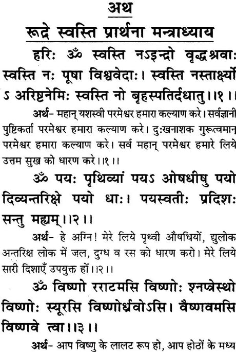 Saral Rudrashtadhyayi (Bhasha-Teeka) [Hindi] - Retail Maharaj