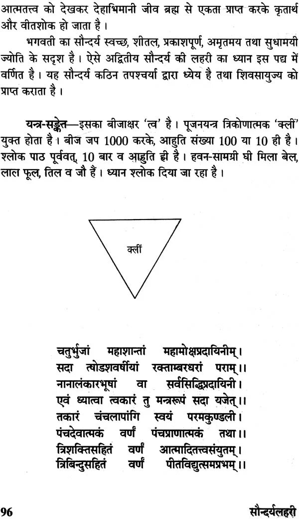 सौन्दर्य लहरी (संस्कृत एवं हिंदी अनुवाद)- Saundarya Lahari with Detailed Explanation in Hindi - Retail Maharaj