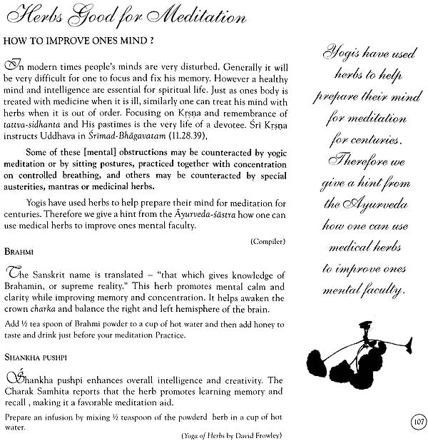 Beautiful Way of Life (Guidebook to The Path of Bhakti-Yoga) - Retail Maharaj