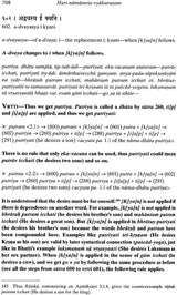 Hari Namamrta Vyakaranam - Learn Sanskrit Grammar Through the Names of Krishna (Set of 2 Volumes) - Retail Maharaj