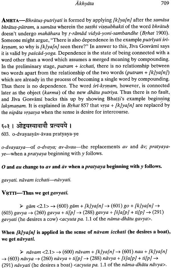 Hari Namamrta Vyakaranam - Learn Sanskrit Grammar Through the Names of Krishna (Set of 2 Volumes) - Retail Maharaj