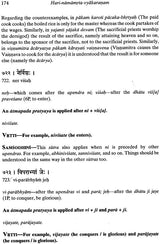 Hari Namamrta Vyakaranam - Learn Sanskrit Grammar Through the Names of Krishna (Set of 2 Volumes) - Retail Maharaj