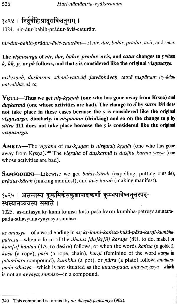 Hari Namamrta Vyakaranam - Learn Sanskrit Grammar Through the Names of Krishna (Set of 2 Volumes) - Retail Maharaj