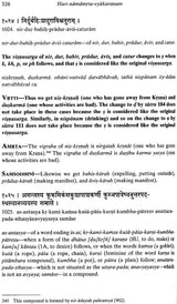 Hari Namamrta Vyakaranam - Learn Sanskrit Grammar Through the Names of Krishna (Set of 2 Volumes) - Retail Maharaj