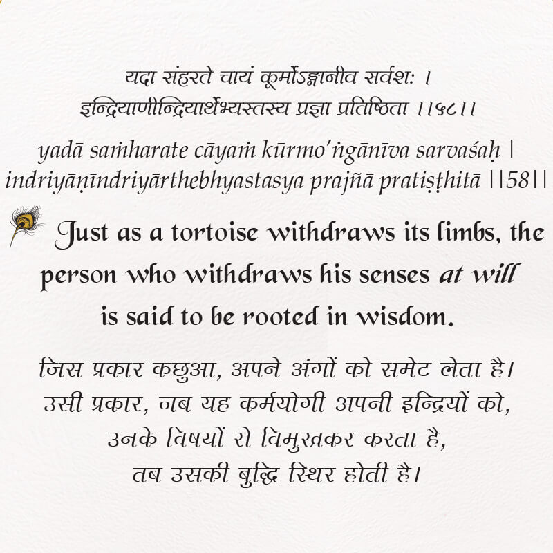 The Bhagavad Gita Book With Reading Stand - Retail Maharaj