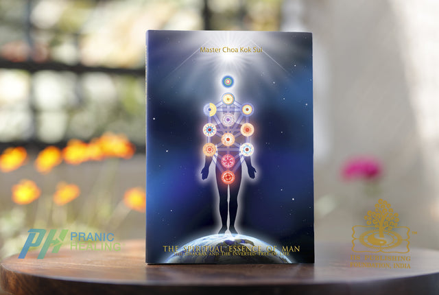 The Spiritual Essence of Man - Retail Maharaj