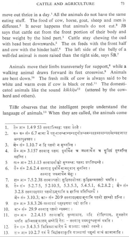 Avimaraka and Balacarita (An Old and Rare Book) - Retail Maharaj