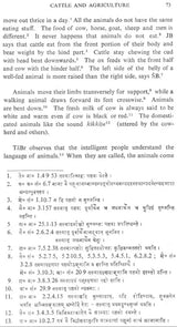 Avimaraka and Balacarita (An Old and Rare Book) - Retail Maharaj