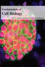 Fundamentals Of Cell Biology - Retail Maharaj