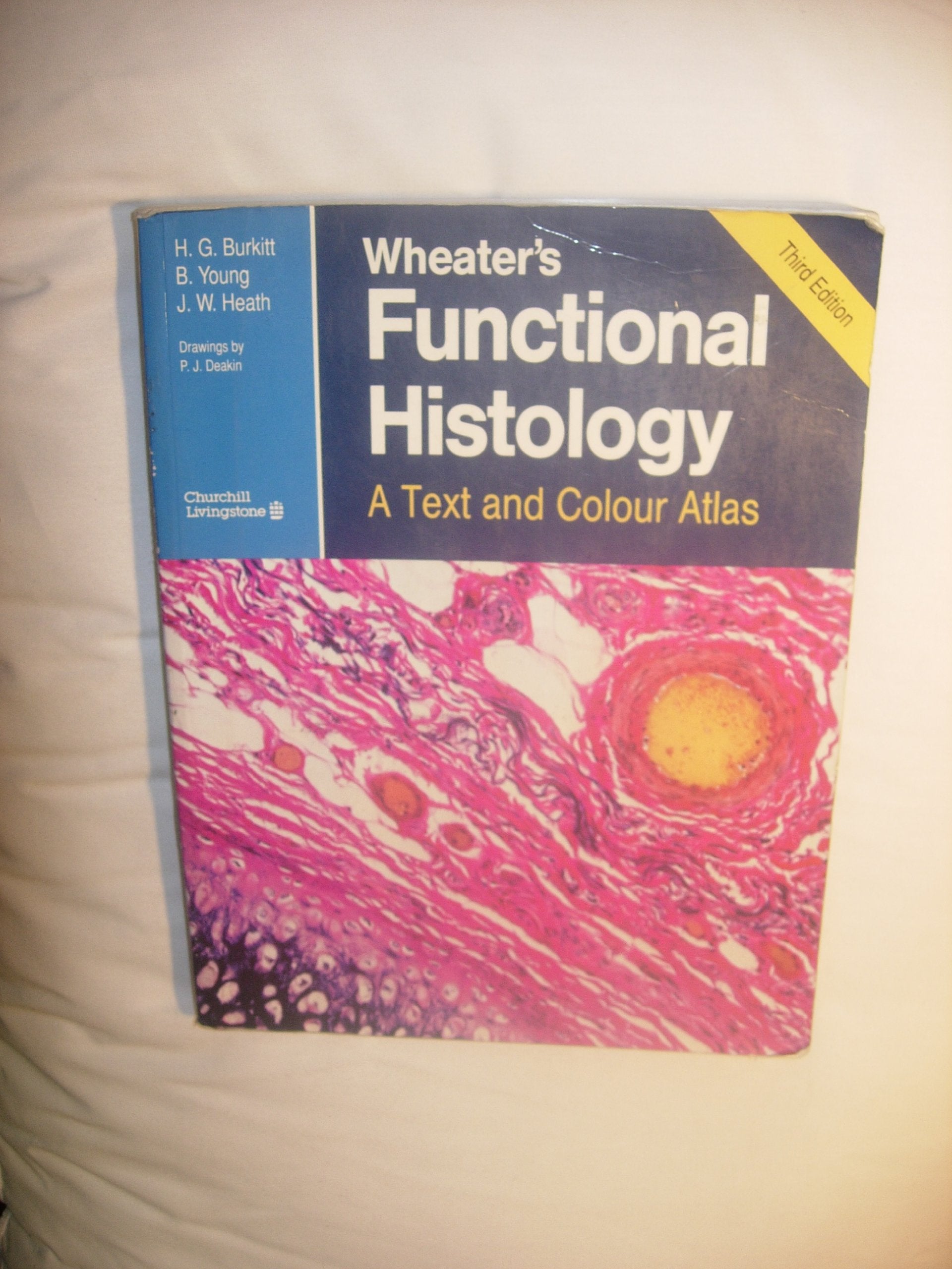 Wheater's Functional Histology 第五版 Wheater's Functional Histology: A Text and Colour Atlas, 5th