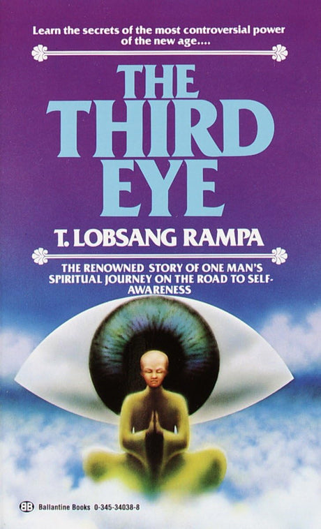 Third Eye: The Renowned Story of One Man's Spiritual Journey on the Road to Self-Awareness - Retail Maharaj