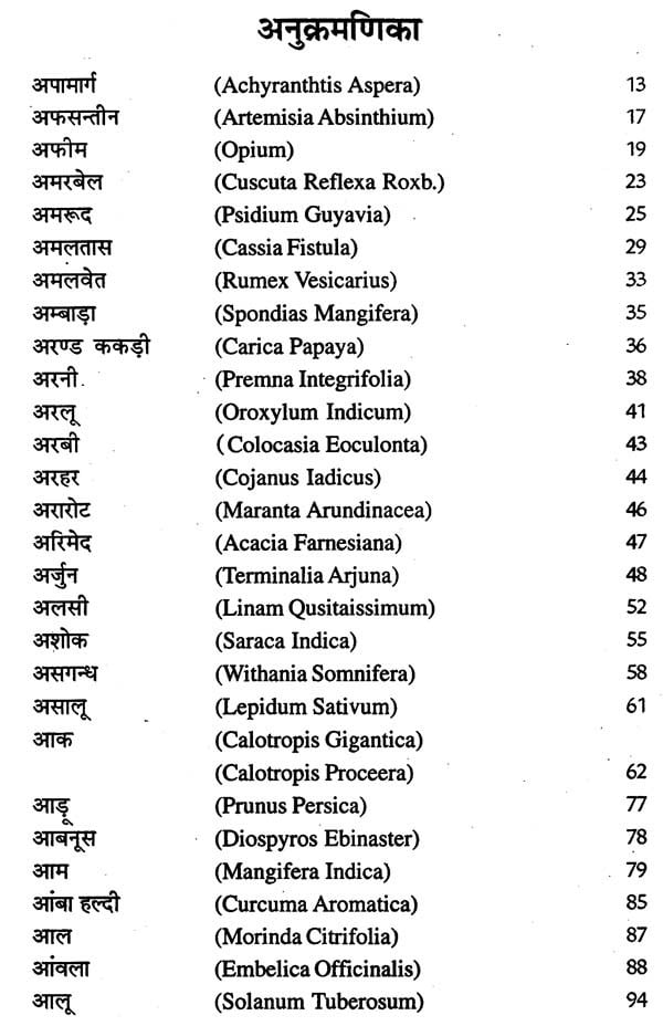 देहाती जड़ी - बूटियां (आयुर्वेद, यूनानी व हकीमी चिकित्सा)- Rustic Herbs (Ayurveda, Unani and Hakimi Medicine) - Retail Maharaj