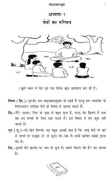 Vedas of Knowledge (Hindi Translation) - Retail Maharaj