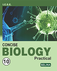 Concise Biology Practical (Class X) - Retail Maharaj