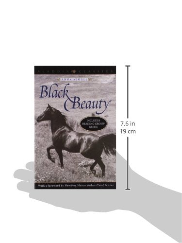 Black Beauty - Retail Maharaj