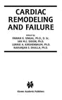 Cardiac Remodeling and Failure: 5 (Progress in Experimental Cardiology) - Retail Maharaj