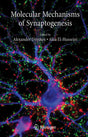 Molecular Mechanisms of Synaptogenesis - Retail Maharaj