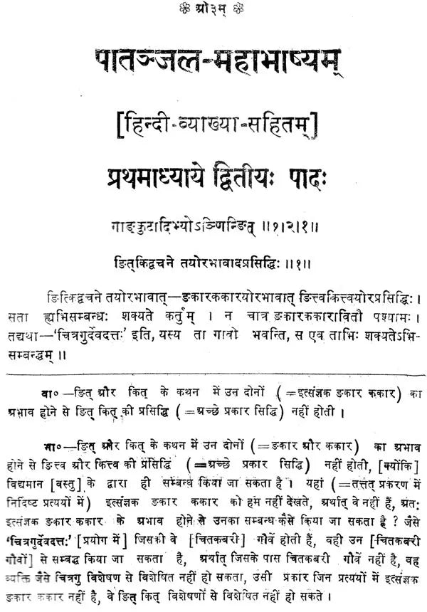 Mahabhashya With Explanation In Hindi - Retail Maharaj