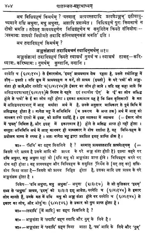 Mahabhashya With Explanation In Hindi - Retail Maharaj