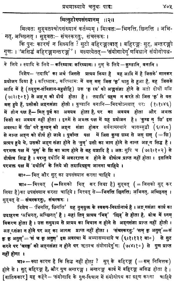 Mahabhashya With Explanation In Hindi - Retail Maharaj