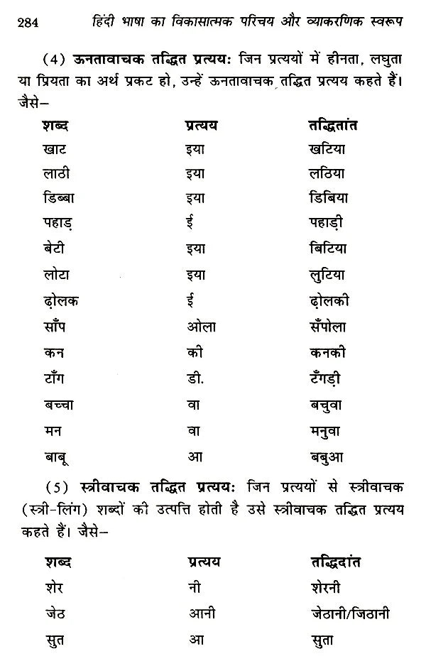 हिंदी भाषा का विकासात्मक परिचय और व्याकरणिक स्वरूप- Developmental Introduction and Grammatical Structure of Hindi language - Retail Maharaj