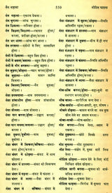 मानक हिन्दी मुहावरा कोश- Standard Dictionary of Hindi Idioms: Set of 2 Volumes (An Old and Rare Book) - Retail Maharaj