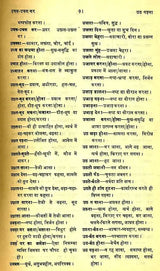 मानक हिन्दी मुहावरा कोश- Standard Dictionary of Hindi Idioms: Set of 2 Volumes (An Old and Rare Book) - Retail Maharaj