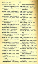 मानक हिन्दी मुहावरा कोश- Standard Dictionary of Hindi Idioms: Set of 2 Volumes (An Old and Rare Book) - Retail Maharaj