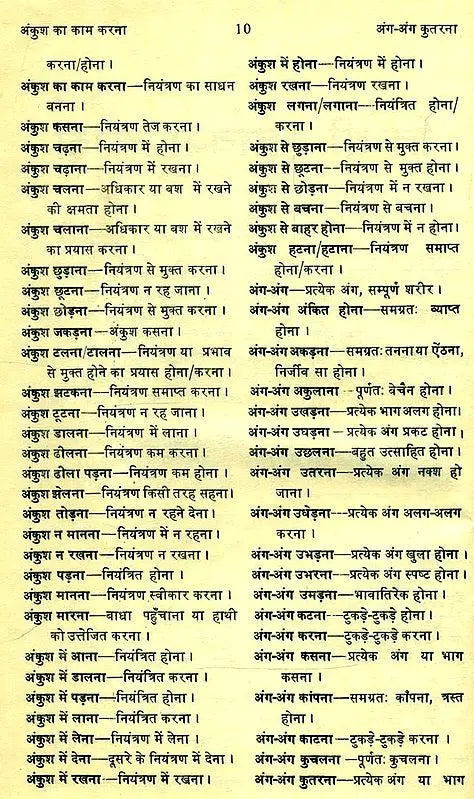 मानक हिन्दी मुहावरा कोश- Standard Dictionary of Hindi Idioms: Set of 2 Volumes (An Old and Rare Book) - Retail Maharaj