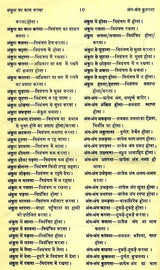 मानक हिन्दी मुहावरा कोश- Standard Dictionary of Hindi Idioms: Set of 2 Volumes (An Old and Rare Book) - Retail Maharaj