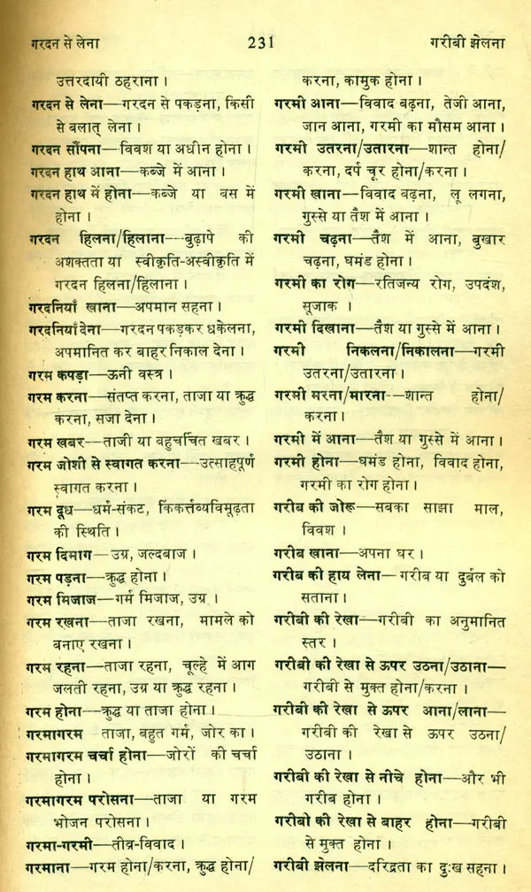 मानक हिन्दी मुहावरा कोश- Standard Dictionary of Hindi Idioms: Set of 2 Volumes (An Old and Rare Book) - Retail Maharaj