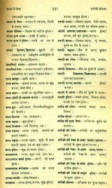 मानक हिन्दी मुहावरा कोश- Standard Dictionary of Hindi Idioms: Set of 2 Volumes (An Old and Rare Book) - Retail Maharaj