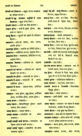 मानक हिन्दी मुहावरा कोश- Standard Dictionary of Hindi Idioms: Set of 2 Volumes (An Old and Rare Book) - Retail Maharaj