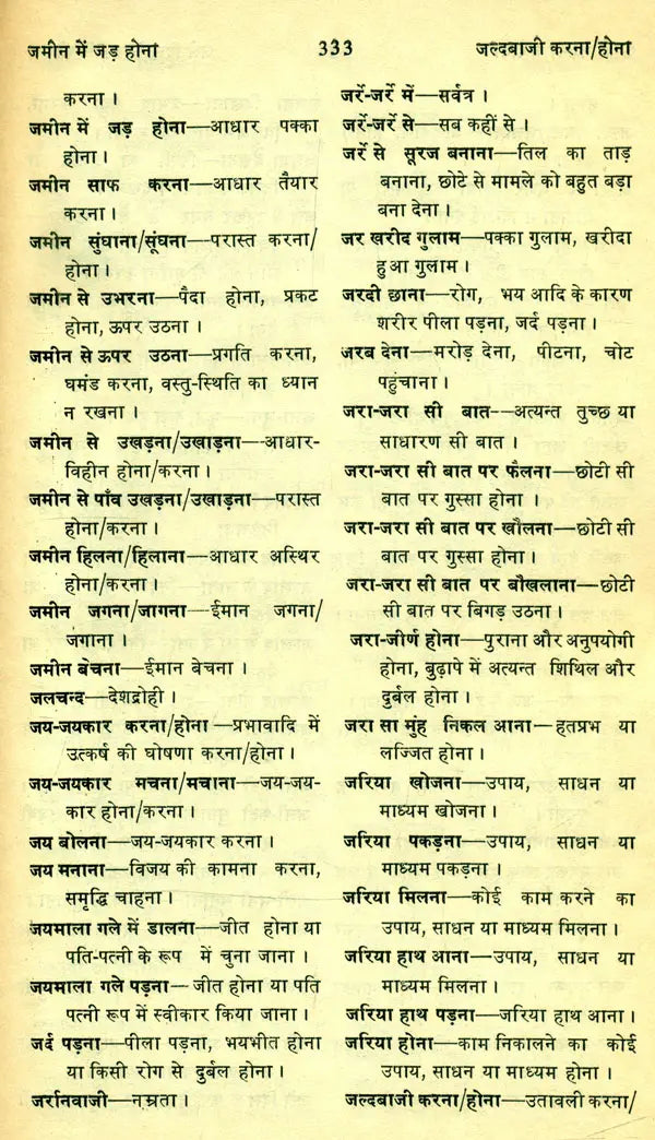 मानक हिन्दी मुहावरा कोश- Standard Dictionary of Hindi Idioms: Set of 2 Volumes (An Old and Rare Book) - Retail Maharaj