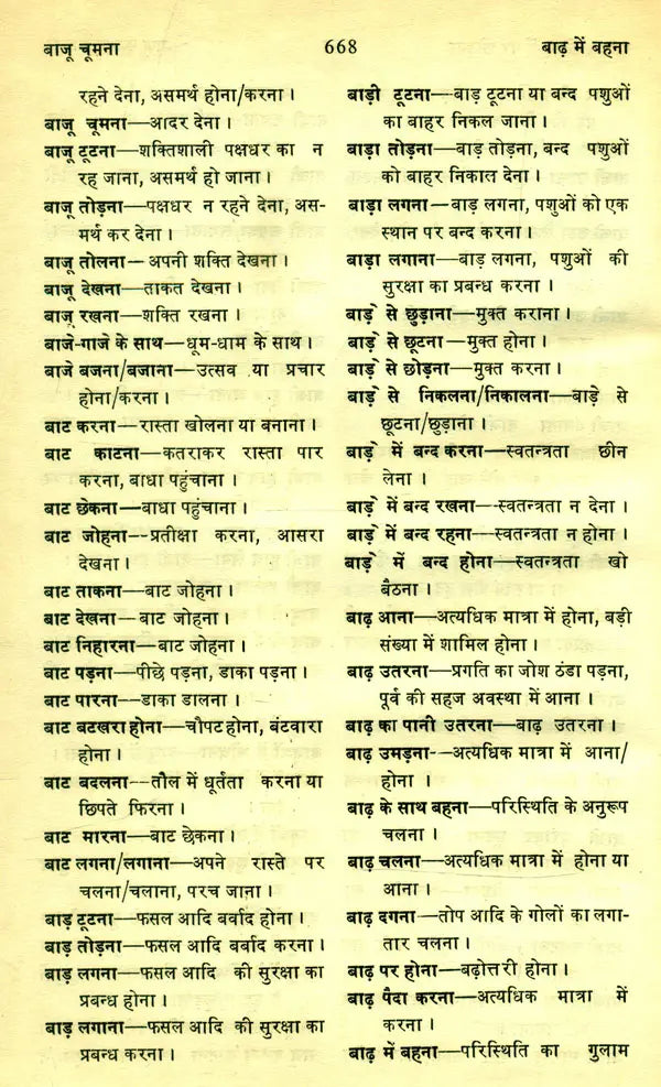 मानक हिन्दी मुहावरा कोश- Standard Dictionary of Hindi Idioms: Set of 2 Volumes (An Old and Rare Book) - Retail Maharaj