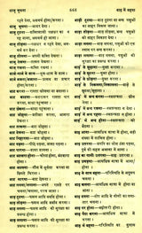 मानक हिन्दी मुहावरा कोश- Standard Dictionary of Hindi Idioms: Set of 2 Volumes (An Old and Rare Book) - Retail Maharaj