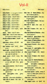 मानक हिन्दी मुहावरा कोश- Standard Dictionary of Hindi Idioms: Set of 2 Volumes (An Old and Rare Book) - Retail Maharaj