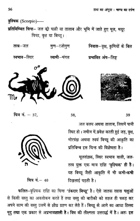 हाथ का अंगूठा : भाग्य का दर्पण- Future From Thumb - Retail Maharaj