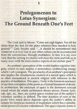 Concentric Imagination: Mandala Literary Theory - Retail Maharaj