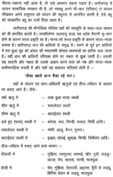 छत्तीसगढ़ के पारम्परिक व्यंजन (स्वादिष्ट व्यंजन एवं साग-भाजी)- Traditional Dishes of Chhattisgarh (Delicious Dishes and Greens) - Retail Maharaj
