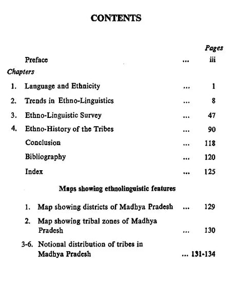 Language, Ethnicity and History (Dimensions in Anthropological Linguistics) - Retail Maharaj