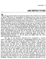 Art and Culture Under the Sungas - Retail Maharaj