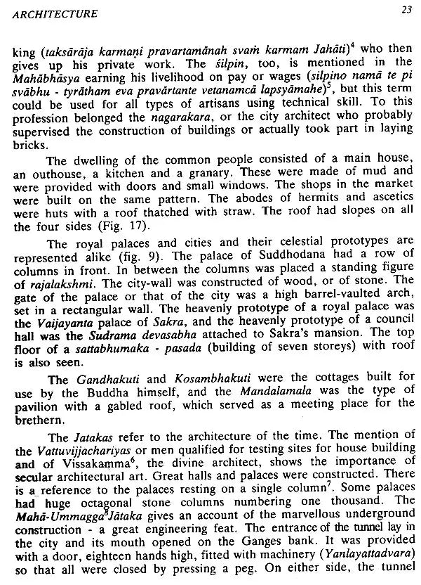 Art and Culture Under the Sungas - Retail Maharaj