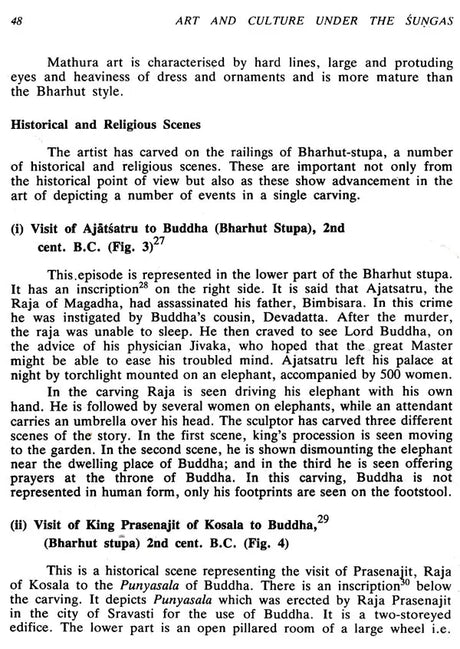 Art and Culture Under the Sungas - Retail Maharaj