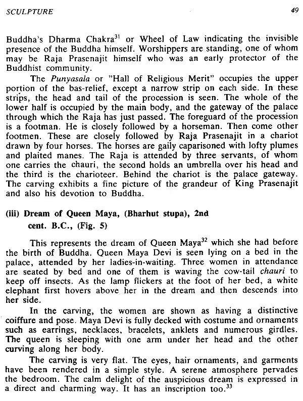 Art and Culture Under the Sungas - Retail Maharaj