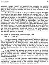 Art and Culture Under the Sungas - Retail Maharaj