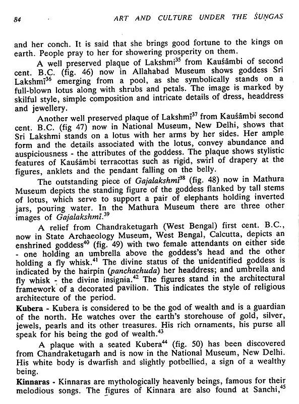 Art and Culture Under the Sungas - Retail Maharaj