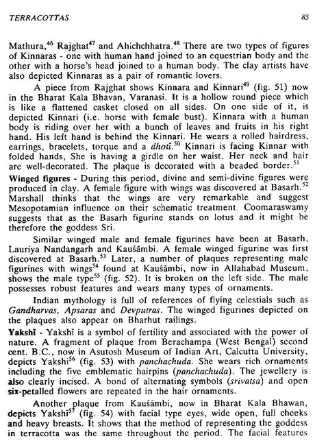 Art and Culture Under the Sungas - Retail Maharaj