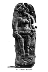 Art and Culture Under the Sungas - Retail Maharaj